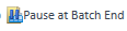 PauseAtBatchEndIcon.png